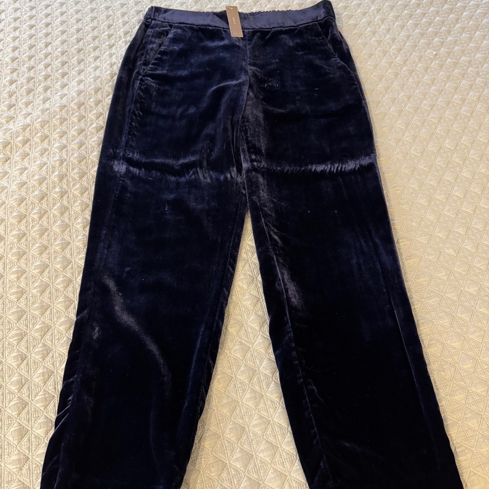 J.Crew Velvet Pants